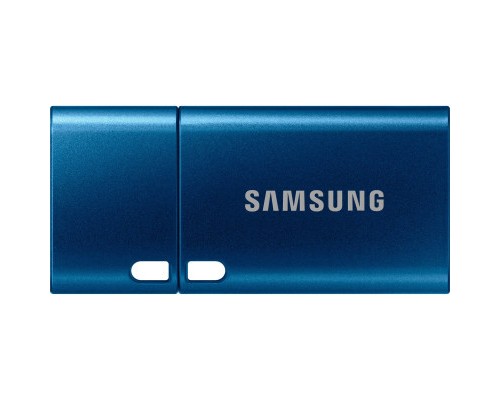 USB флеш накопичувач Samsung 64GB USB 3.2 Type-C (MUF-64DA/APC)
