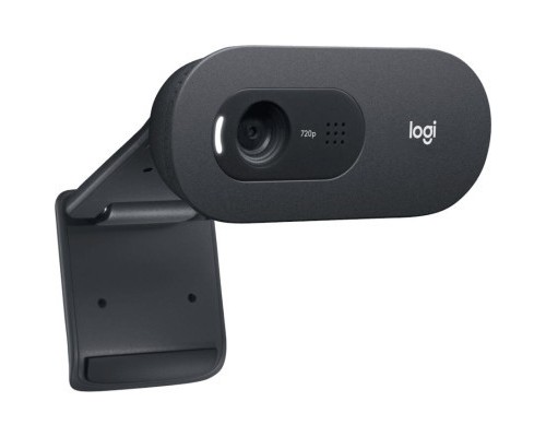 Веб-камера Logitech C505e HD (960-001372)