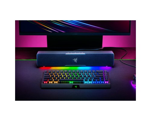 Акустична система Razer Leviathan V2 X (RZ05-04280100-R3M1)