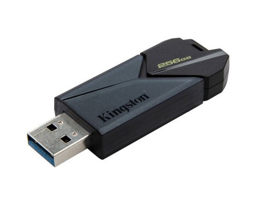 USB флеш накопичувач Kingston USB3.2 256GB Kingston DataTraveler Exodia Onyx (DTXON/256GB)