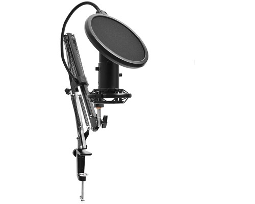 Мікрофон Lorgar Voicer 931 (LRG-CMT931)