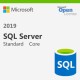ПЗ для сервера Microsoft SQL Server Standard Core 2019 SNGL OLP 2Lic NL CoreLic Qlfd (7NQ-01564)