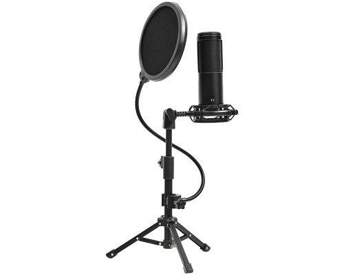 Мікрофон Lorgar Voicer 721 (LRG-CMT721)