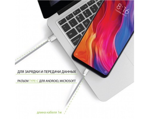 Дата кабель USB 2.0 AM to Type-C 1.0m CBGNYT1 grey Intaleo (1283126489136)