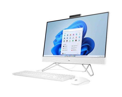 Комп'ютер HP 205 G8 AiO / Ryzen3 5300U (6D4D1EA)