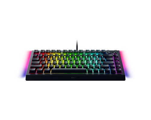 Клавіатура Razer BlackWidow V4 75 USB UA Black (RZ03-05000100-R3M1)