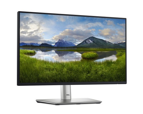 Монітор Dell P2225H (210-BMHD)