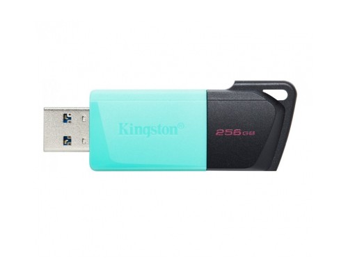 USB флеш накопичувач Kingston 256GB DataTraveler Exodia M USB 3.2 (DTXM/256GB)