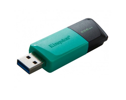 USB флеш накопичувач Kingston 256GB DataTraveler Exodia M USB 3.2 (DTXM/256GB)