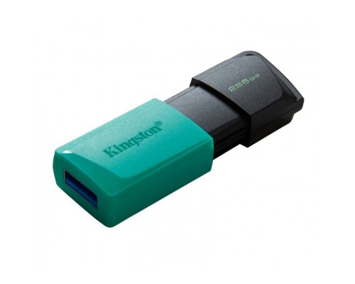 USB флеш накопичувач Kingston 256GB DataTraveler Exodia M USB 3.2 (DTXM/256GB)