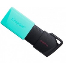 USB флеш накопичувач Kingston 256GB DataTraveler Exodia M USB 3.2 (DTXM/256GB)