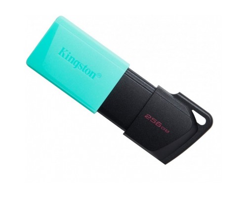 USB флеш накопичувач Kingston 256GB DataTraveler Exodia M USB 3.2 (DTXM/256GB)