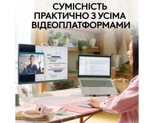 Веб-камера Logitech Brio 100 Full HD Rose (960-001623)