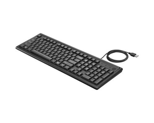 Клавіатура HP 100 USB Black (2UN30AA)