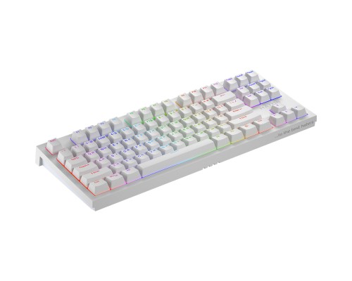 Клавіатура Hator Skyfall 2 TKL Pro Orange USB White (HTK-751)