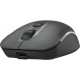 Мишка A4Tech FB26CS Air2 Wireless/Bluetooth Smoky Grey (4711421999090)
