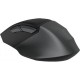 Мишка A4Tech FB45CS Air2 Wireless/Bluetooth Smoky Grey (4711421999304)