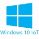 Операційна система Microsoft Win 10 IoT Ent 2021 LTSC MultiLang ESD OEI High End EPKEA (MUT-00075)