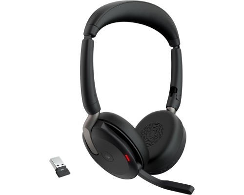 Навушники Jabra Evolve2 65 Flex Link380a MS Stereo (26699-999-999)