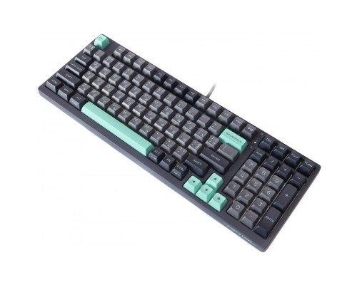 Клавіатура A4Tech FS300 FS Switches USB Panda Rock Climbin (4711422003086)