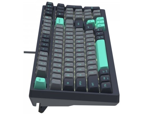 Клавіатура A4Tech FS300 FS Switches USB Panda Rock Climbin (4711422003086)