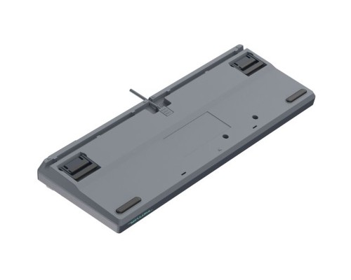 Клавіатура A4Tech FS300 FS Switches USB Panda Rock Climbin (4711422003086)