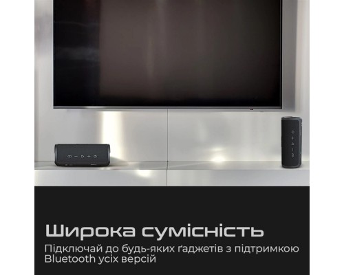 Акустична система HIFuture Ripple Black (ripple.black.)