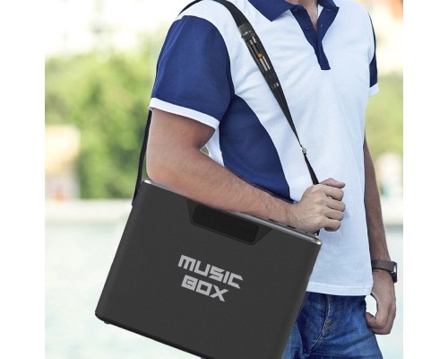 Акустична система HIFuture MusicBox Black (musicbox.black)