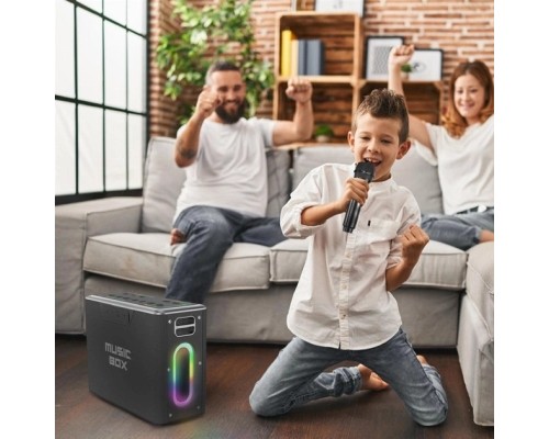 Акустична система HIFuture MusicBox Black (musicbox.black)