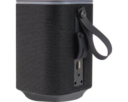 Акустична система Esperanza RGB Illuminated FM Sakara Black (EP155)