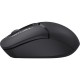 Мишка A4Tech FG12 Black