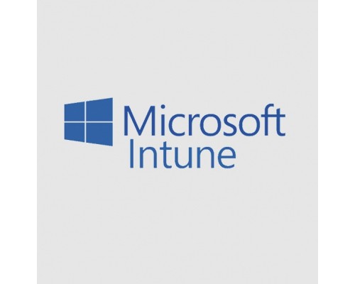 Офісний додаток Microsoft Intune Storage Add-on P1Y Annual License (CFQ7TTC0LCH4_0006_P1Y_A)