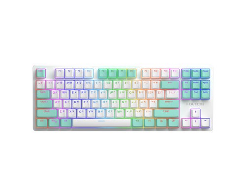 Клавіатура Hator Rockfall 2 Mecha Signature Edition USB White/White/Mint (HTK-521-WWM)