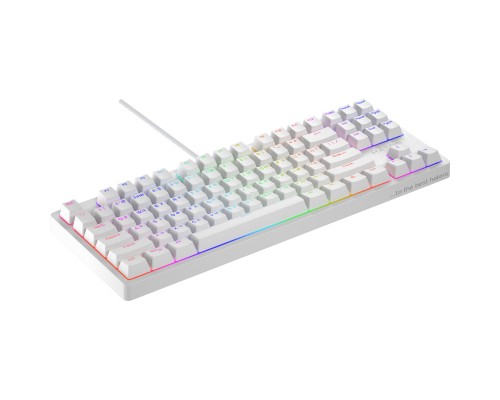 Клавіатура Hator Rockfall 2 Optica TKL Black USB White (HTK-731)