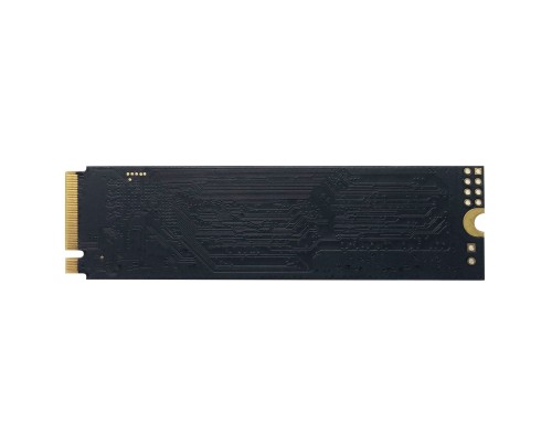 Накопичувач SSD M.2 2280 480GB Patriot (P310P480GM28)