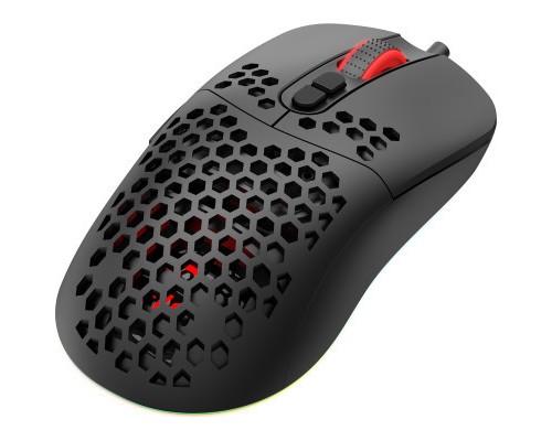 Мишка GamePro GM395 RGB USB Black (GM395)