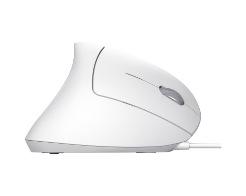 Мишка Trust Verto Ergonomic USB White (25133)