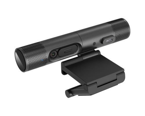 Веб-камера AVerMedia Dualcam PW313D Full HD Black (61PW313D00AE)