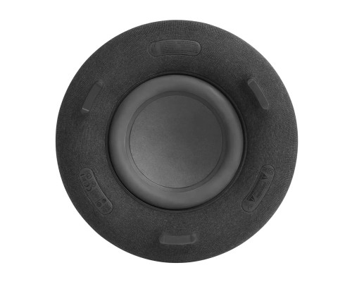 Акустична система Harman Kardon Aura Studio 4 Black (HKAURAS4BLKEP)