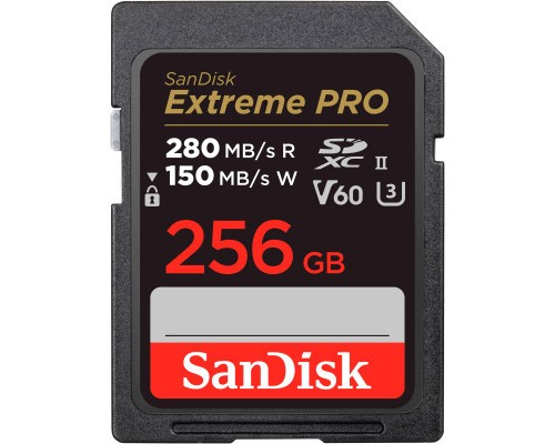 Карта пам'яті SanDisk 256GB SDXC class 10 UHS-I Extreme Pro (SDSDXEP-256G-GN4IN)