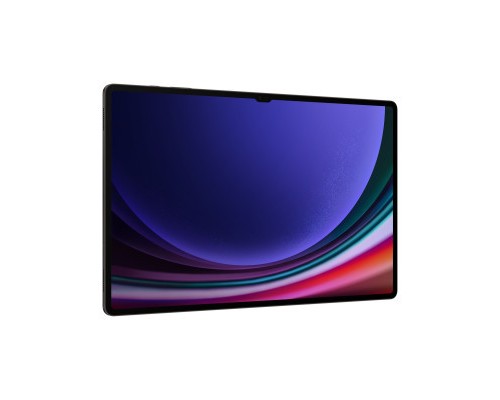 Планшет Samsung Galaxy Tab S9 Ultra 5G 12GB/512GB Graphite (SM-X916BZAESEK)