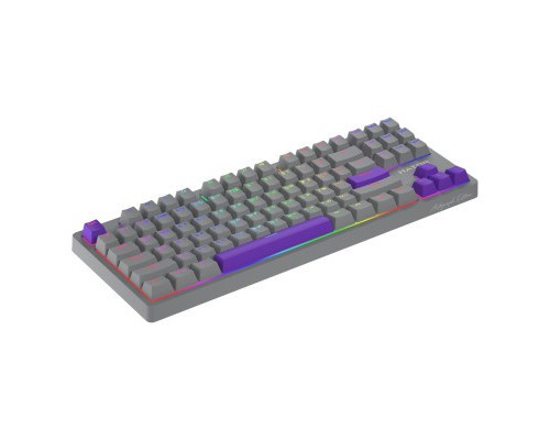 Клавіатура Hator Rockfall 2 Autograph Edition Mecha TKL Aurum Choco USB Titanium (HTK-526)