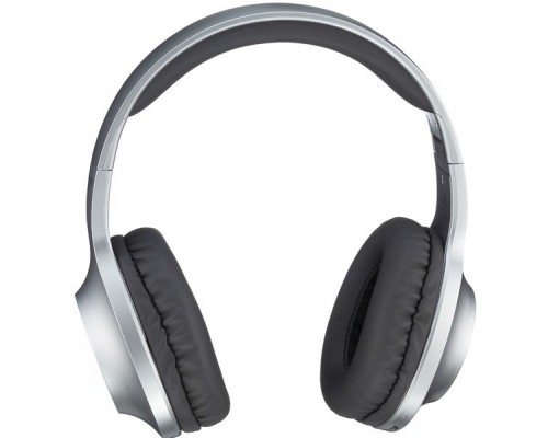 Навушники Panasonic RB-HX220BEE-S Gray (RB-HX220BEE-S)