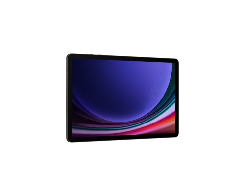 Планшет Samsung Galaxy Tab S9 5G 12GB/256GB Graphite (SM-X716BZAESEK)
