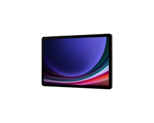 Планшет Samsung Galaxy Tab S9 5G 12GB/256GB Graphite (SM-X716BZAESEK)