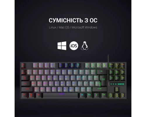 Клавіатура GamePro MK100B Blue Switch LED USB Black (MK100B)