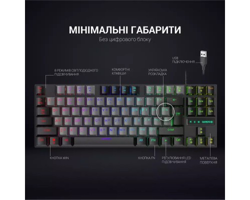 Клавіатура GamePro MK100B Blue Switch LED USB Black (MK100B)