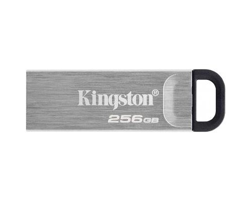 USB флеш накопичувач Kingston 256GB DT Kyson Silver/Black USB 3.2 (DTKN/256GB)