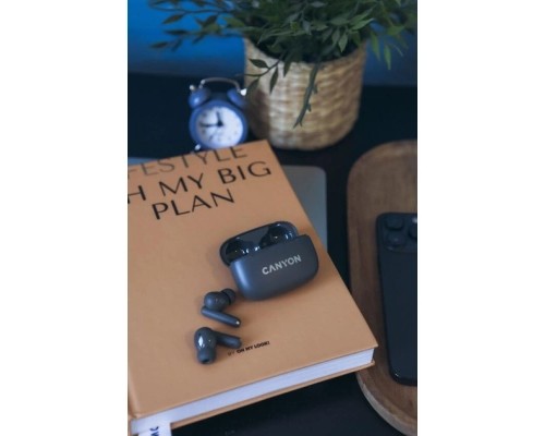 Навушники Canyon TWS-10 OnGo ANC ENC Graphite (CNS-TWS10B)