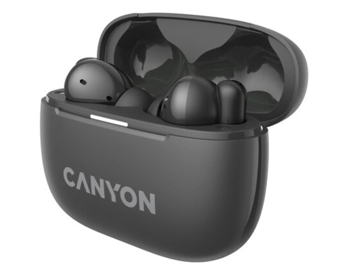Навушники Canyon TWS-10 OnGo ANC ENC Graphite (CNS-TWS10B)